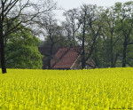 Erve Hondeborg